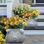 Galvanized Piggy Metal Planters, Set of 2