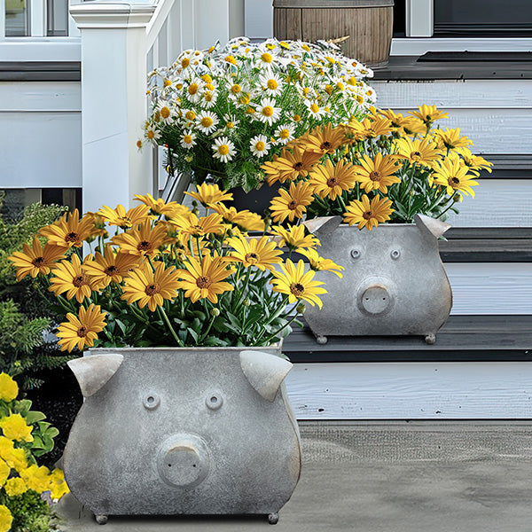 Galvanized Piggy Metal Planters, Set of 2