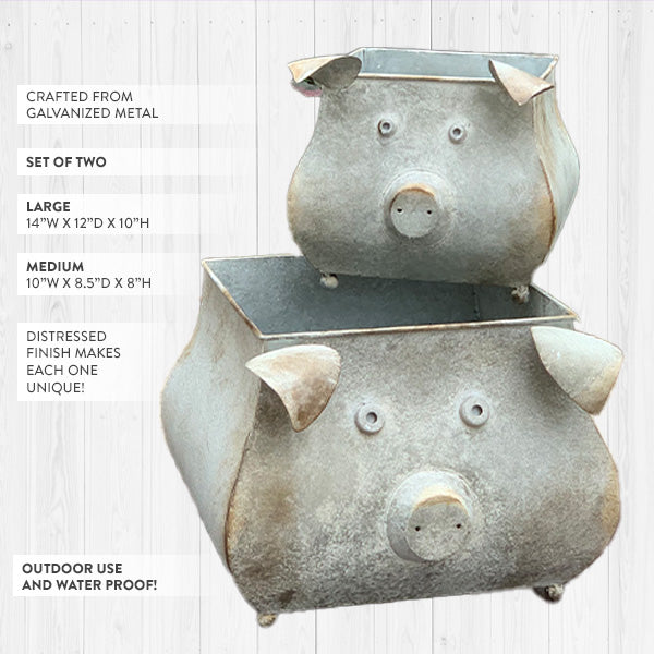 Galvanized Piggy Metal Planters, Set of 2