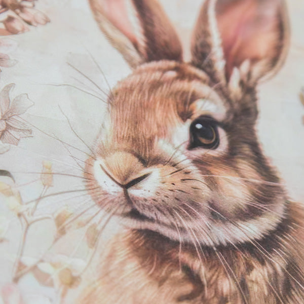 Double-Sided Vintage Bunny Arch Prints Set of 2 | Switch-a-Print Series